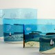 Judith-Martin-Jones-Glass Judith-Martin-Jones-Glass