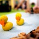 The-Learning-Partnership-Wales The-Learning-Partnership-Wales